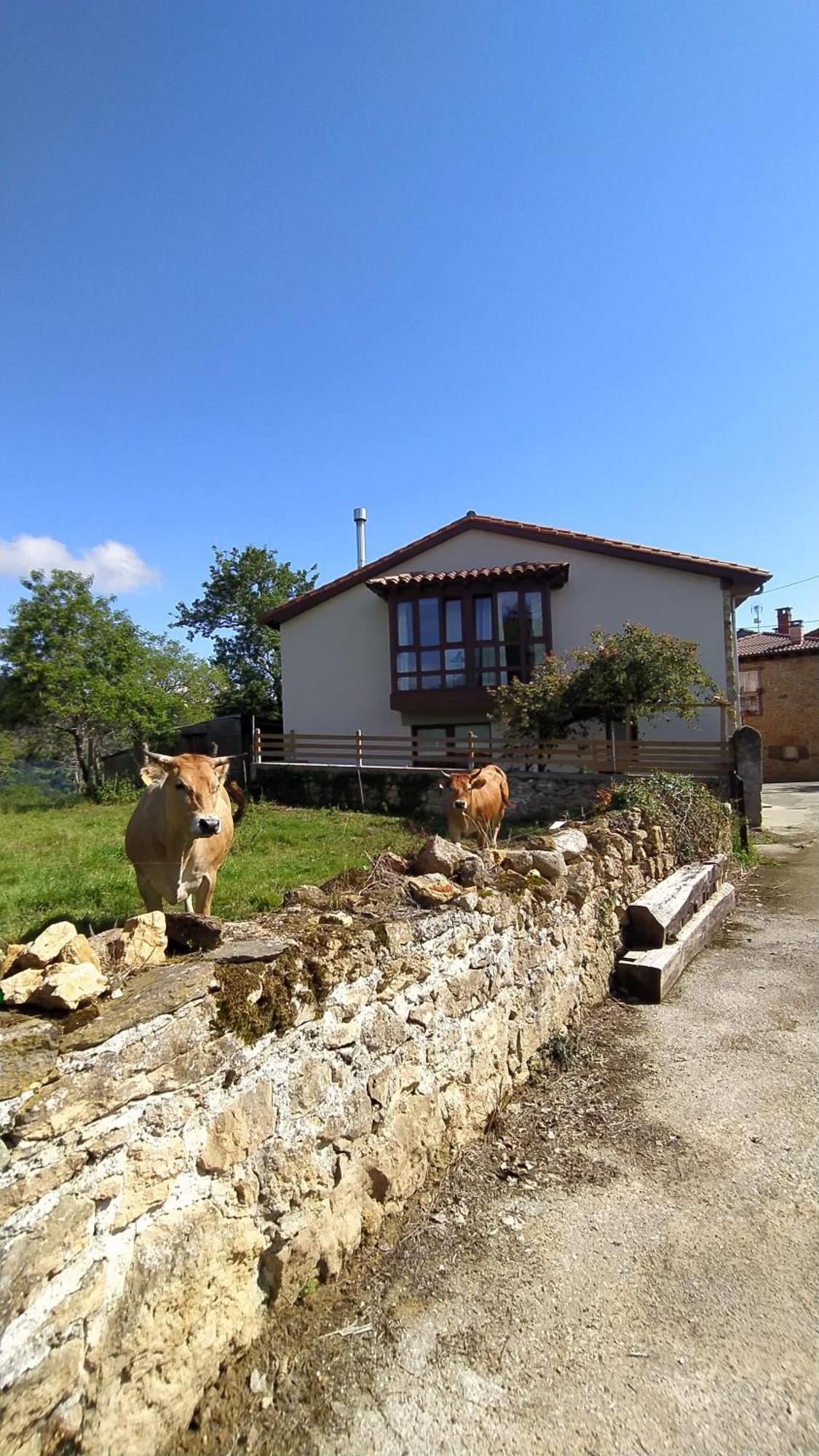 El Rosal Villa Beloncio Exteriör bild
